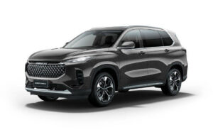 Maxus D60